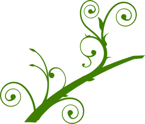 Green Vine Flourish Graphic