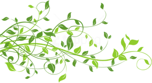 Green Vine Flourish Graphic PNG