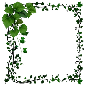 Green Vine Frame Graphic PNG image