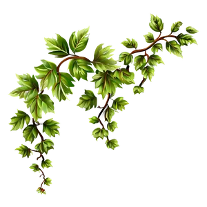 Green Vine Leaves Branch.png PNG image
