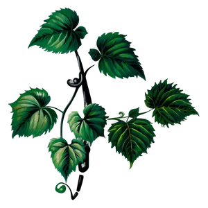 Green Vine Leaves Illustration PNG image
