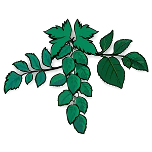 Green Vine Leaves Illustration PNG image