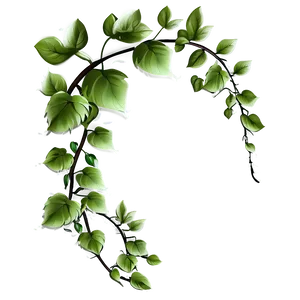 Green Vine Leaves Transparent Background PNG image