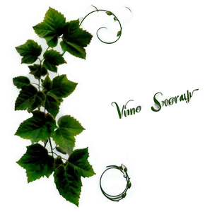Green Vine Scroll Design PNG image