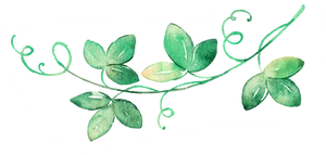 Green Vine Watercolor Divider PNG image