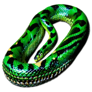 Green Viper Snake Png Qrb PNG image