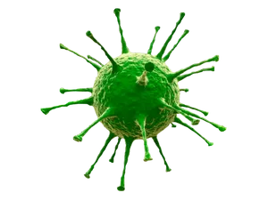 Green Virus Model3 D Rendering PNG image