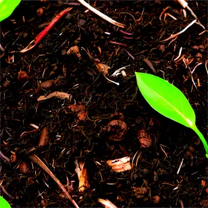 Green Waste Compost Mulch PNG 06132024 PNG