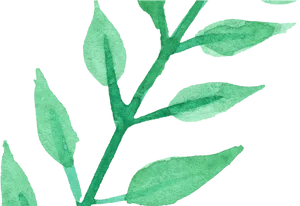 Green Watercolor Leaves Artwork PNG image