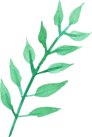 Green Watercolor Plant Illustration