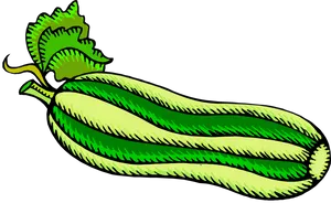 Green Zucchini Illustration.png PNG