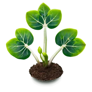 Greenery Sprout Png 91 PNG image