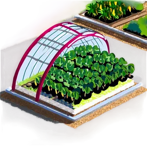 "greenhouse Crop Rotation PNG" 06132024