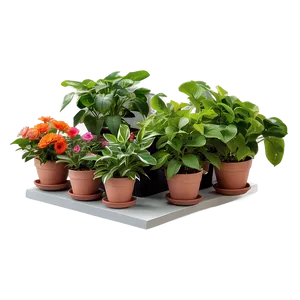 "greenhouse Flower Arrangements PNG" 06132024