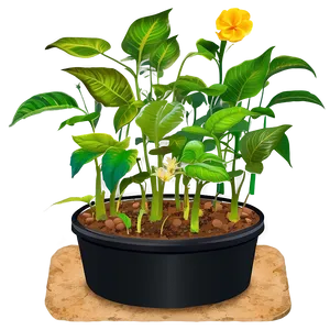 Greenhouse Plants Png 43 PNG image