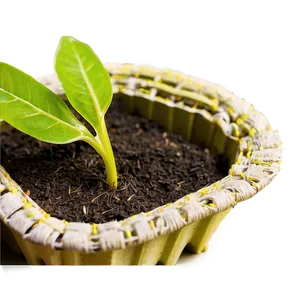 "greenhouse Seed Propagation PNG" 40