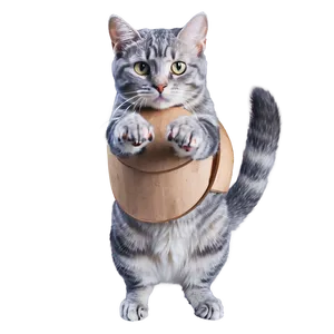 Grey Cat Doing Tricks PNG 21 PNG