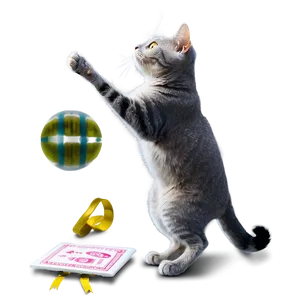 Grey Cat Doing Tricks PNG Fdk78 PNG