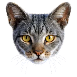 Grey Cat Face PNG Fru88 PNG