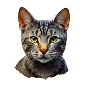 Grey Cat Head Photo PNG Gtb