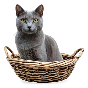 Grey Cat In Basket PNG 95