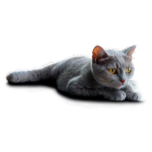 Grey Cat Lying Down Png 27 PNG image