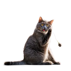 Grey Cat Stretching PNG Oag PNG