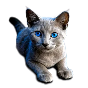 Grey Cat With Blue Eyes PNG Lgy PNG