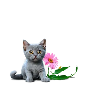Grey Cat With Flowers PNG 06252024