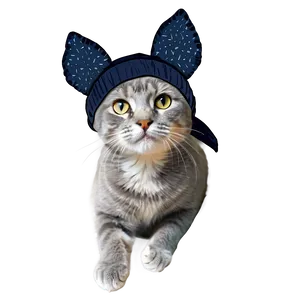 Grey Cat With Hat PNG 06252024