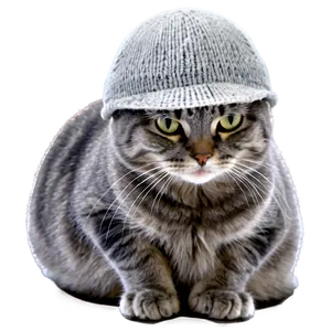 Grey Cat With Hat Png 92 PNG image