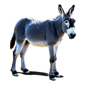 Grey Donkey PNG 91