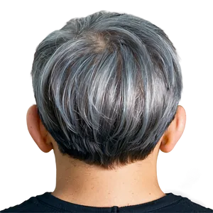 Grey Hair Highlights PNG Rym PNG