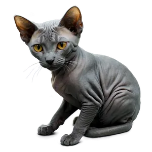Grey Hairless Cat PNG Rsm86 PNG