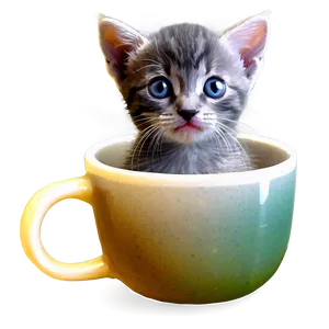 Grey Kitten In Cup Png 71 PNG image