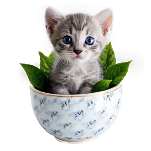 Grey Kitten In Cup Png Ddt2 PNG image