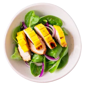 Grilled Chicken And Mango Salad PNG 28