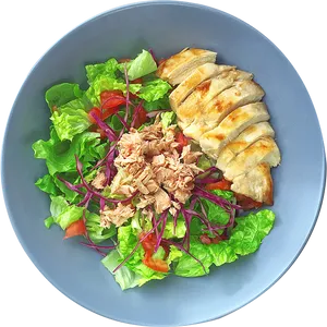 Grilled Chicken Tuna Salad Dish PNG image