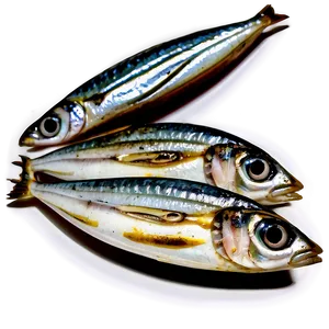 Grilled Sardine Png 89 PNG image