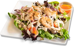 Grilled Shrimp Salad Dish PNG