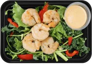 Grilled Shrimp Saladwith Dressing PNG