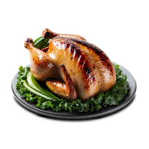 Grilled Turkey Png 11 PNG image