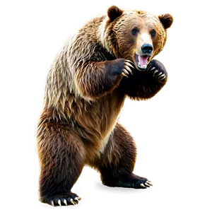 Grizzly Bear Image Png 17 PNG image
