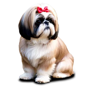 Groomed Shih Tzu Show Dog PNG Ifl