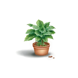 Ground Cover Plant PNG Krs
