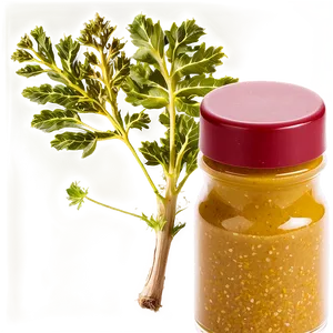 Ground Mustard PNG 05242024