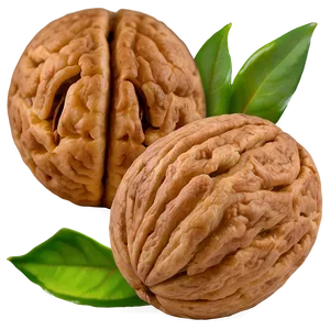 Ground Walnut PNG 06122024
