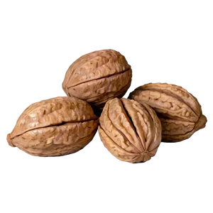 Ground Walnut PNG Idy