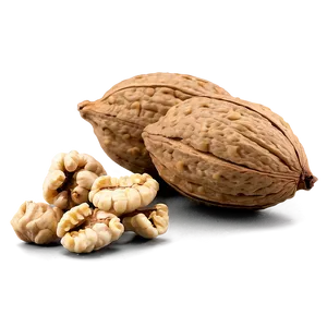 Ground Walnut PNG Omu78