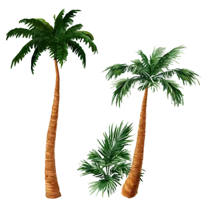 Group Of Palm Trees PNG 37